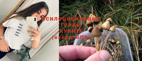 прущие крисы Алексин