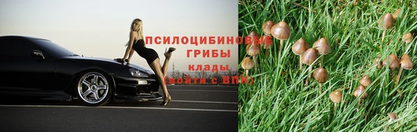 наркотики Алексеевка